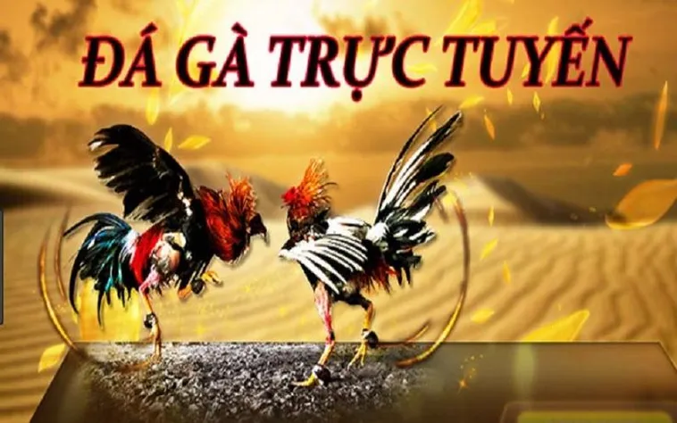 Đá Gà WS168 Tại XocDia88 - Trải Nghiệm Cá Cược Đỉnh Cao