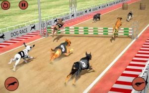 Cách Chơi Game Nhanh Đua Chó Tại XocDia88 Chi Tiết, Dễ Hiểu