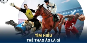Cá Cược Thể Thao Ảo XocDia88: Hành Trình Giải Trí Đỉnh Cao